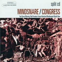 Mindsnare (AUS) : Mindsnare - Congress